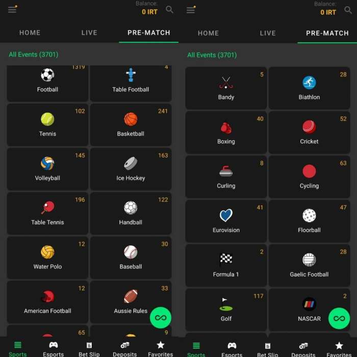 اپلیکیشن سایت کانن بت