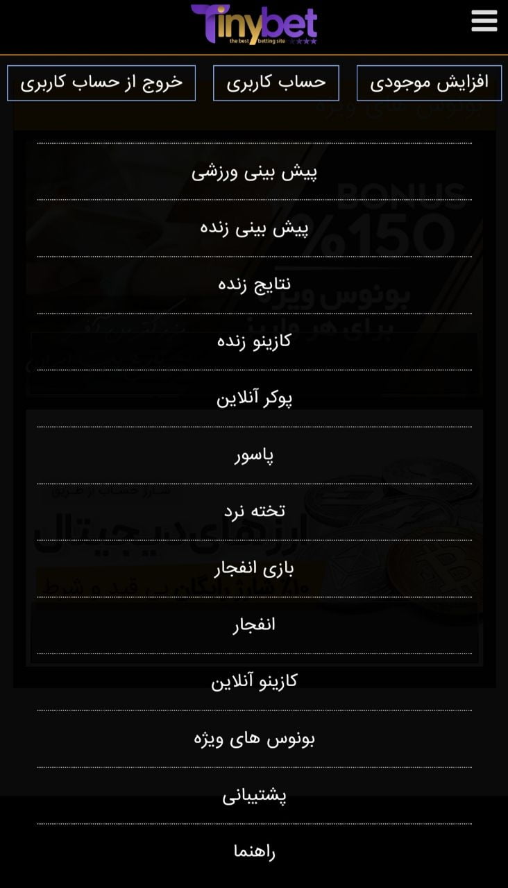 اطلاعات در مورد سایت تاینی بت