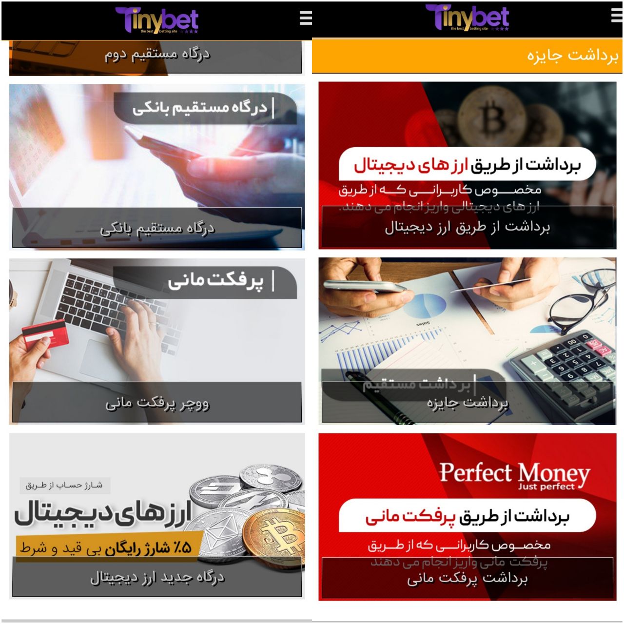 شارژ و برداشت در سایت تاینی بت