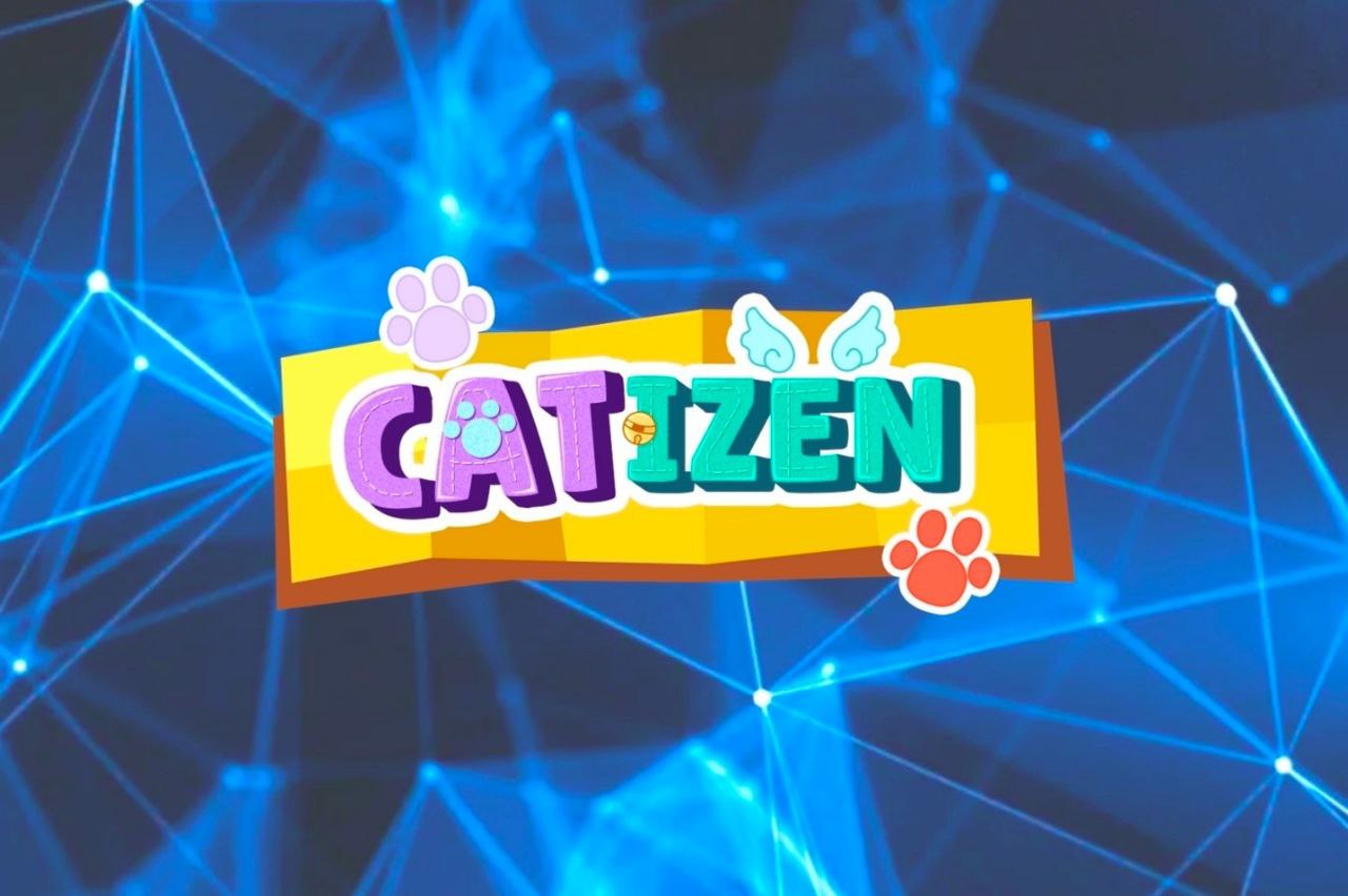 آموزش بازی کتیزن