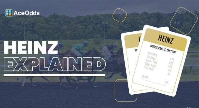 مزایا و معایب هاینز بت