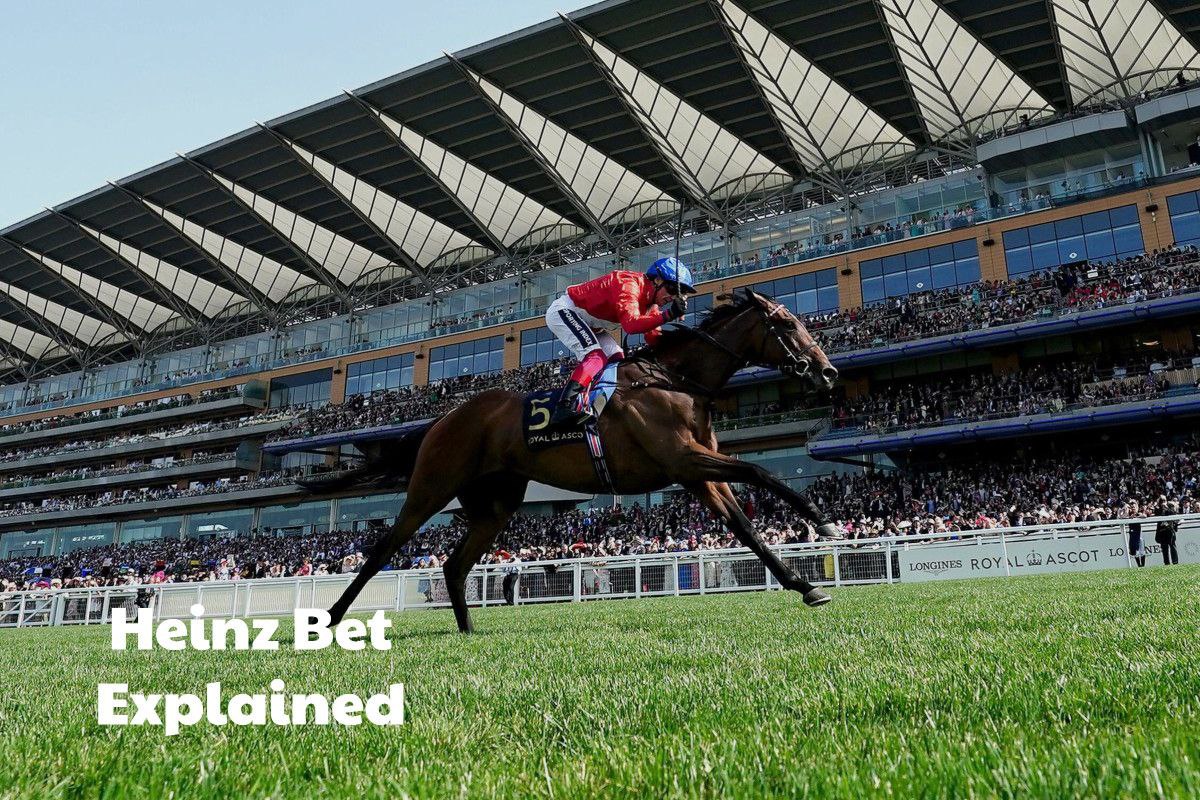 ترفندهای heinz bet